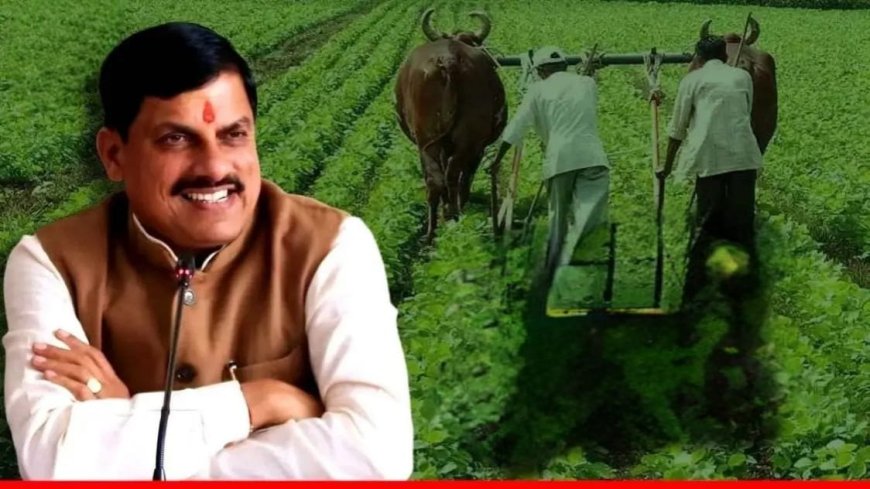 मध्यप्रदेश के किसानों को सिंचाई की सौगात, विधानसभा में पारित हुआ विशाल बजट