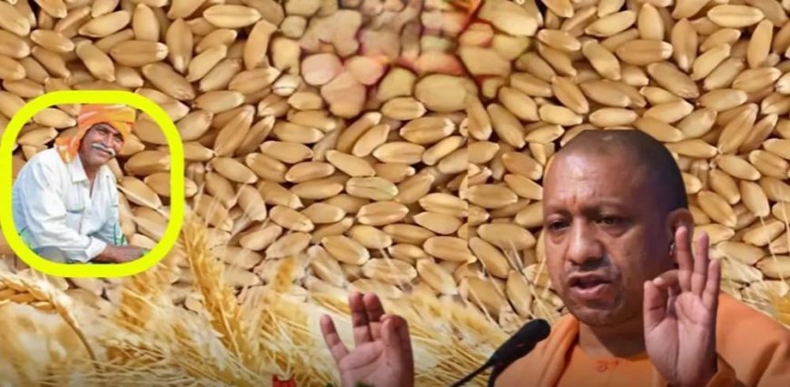 योगी सरकार की ऐतिहासिक पहल: गेहूं के समर्थन मूल्य में बढ़ोतरी से किसानों को मिली बड़ी राहत