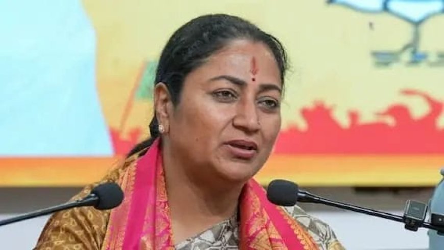डार्क स्पॉट्स से लेकर ट्रैफिक तक—दिल्ली में बेहतर प्रशासन का उदाहरण बनी रेखा गुप्ता की भाजपा सरकार
