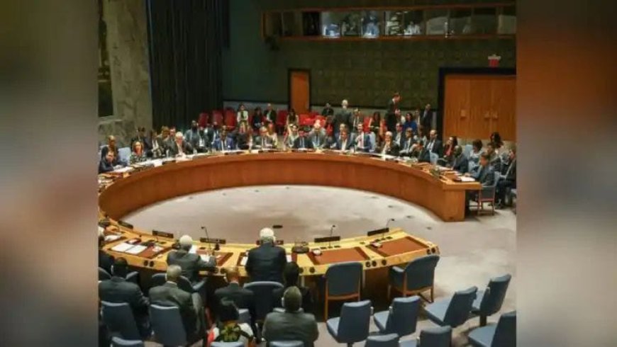 "धार्मिक आधार पर आरक्षण नहीं! UNSC में भारत ने इस्लामिक देशों को दिया करारा जवाब, G4 ने भी दिया समर्थन"